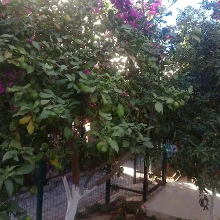 Villa Villalemoon Belek